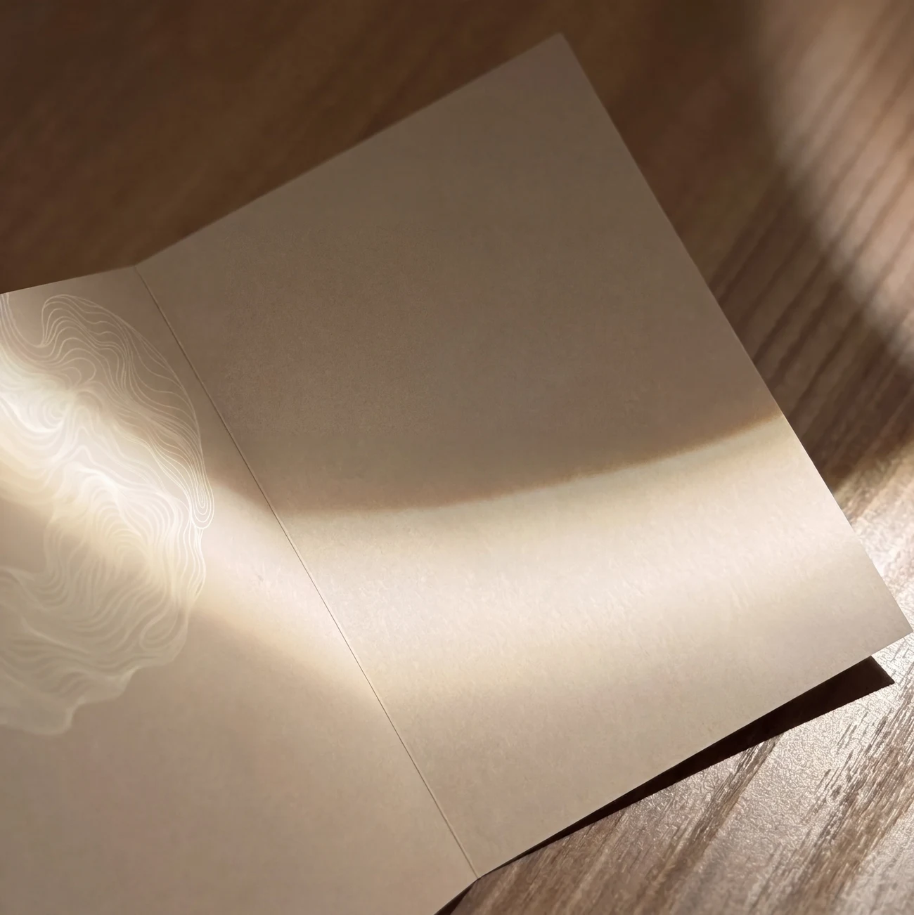 Un vale de Pluma por valor de US$ 75 sobre un papel claro abierto, con texto sobre el canje y un código de vale.